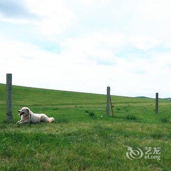 克什克腾旗干诺敏杭盖牧人家住宿酒店提供图片