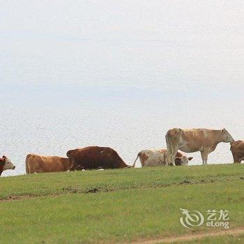 克什克腾旗干诺敏杭盖牧人家住宿酒店提供图片