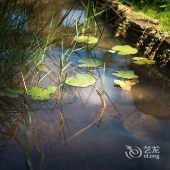 北海涠洲岛颐客潮宿酒店提供图片