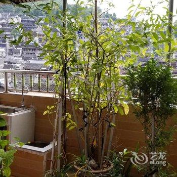 凤凰公园宾馆酒店提供图片