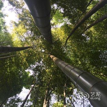 宜宾龙湾度假酒店酒店提供图片