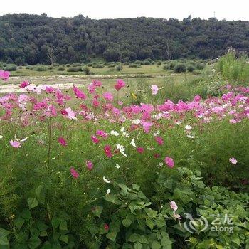 乌兰布统原生态农家院酒店提供图片