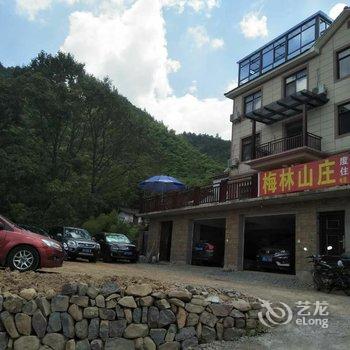 安吉山川梅竹农家饭店酒店提供图片