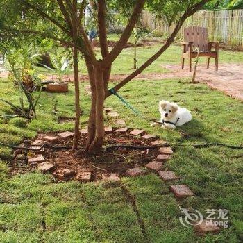 北海陌野life民宿酒店提供图片