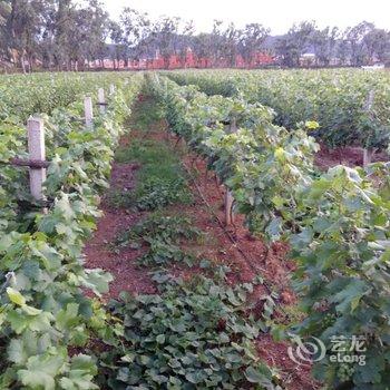 文山水乡龙居客栈酒店提供图片