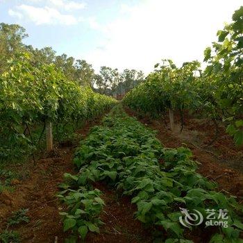 文山水乡龙居客栈酒店提供图片