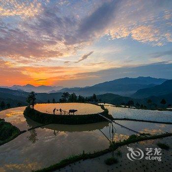 永嘉茗岙田中田摄影旅舍酒店提供图片