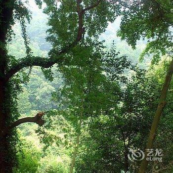 衡阳南岳夏日香气客栈酒店提供图片