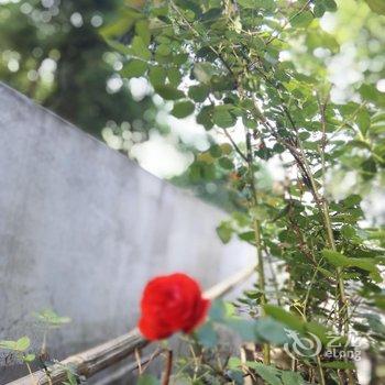 衡阳南岳夏日香气客栈酒店提供图片