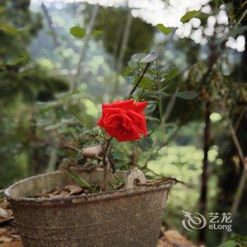 衡阳南岳夏日香气客栈酒店提供图片