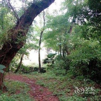 衡阳南岳夏日香气客栈酒店提供图片