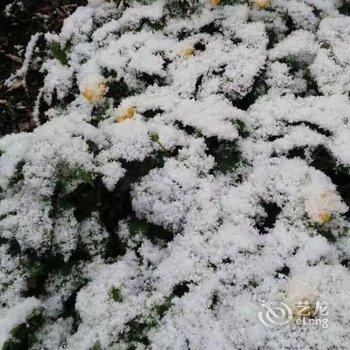 雪乡二浪河丛家家庭旅馆酒店提供图片