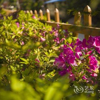 张家界桂花客栈酒店提供图片