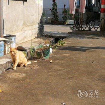 西双版纳漫游家青年旅舍酒店提供图片