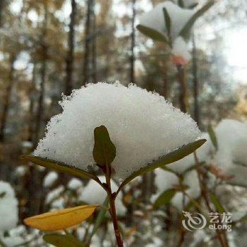 漠河北红村寻北之家客栈酒店提供图片