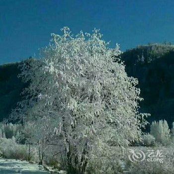 漠河北红村寻北之家客栈酒店提供图片