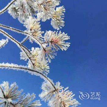 漠河北红村寻北之家客栈酒店提供图片