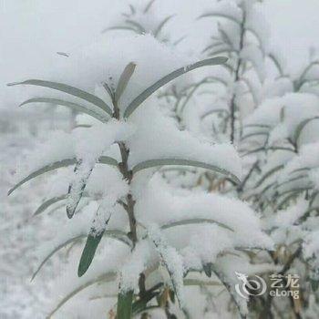 漠河北红村寻北之家客栈酒店提供图片