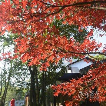 武夷山彝山兰若茗宿酒店提供图片