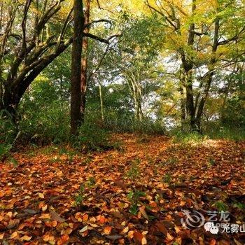 南江红林缘农家乐酒店提供图片