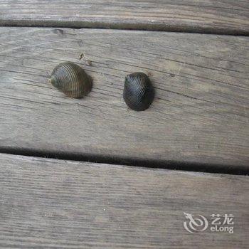 北海涠洲岛打渔部落客栈酒店提供图片