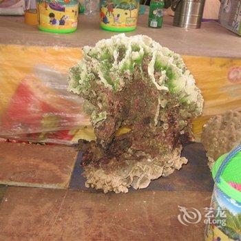 北海涠洲岛打渔部落客栈酒店提供图片