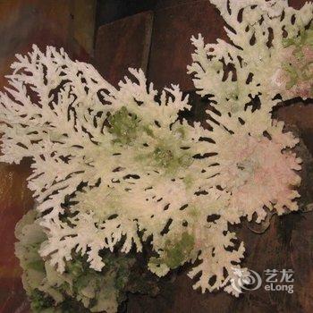 北海涠洲岛打渔部落客栈酒店提供图片