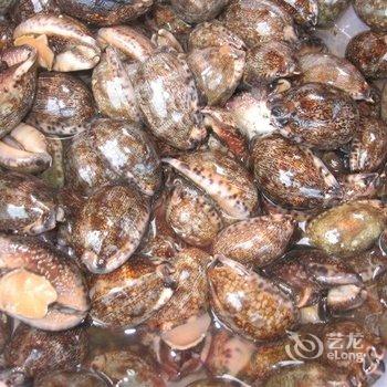 北海涠洲岛打渔部落客栈酒店提供图片