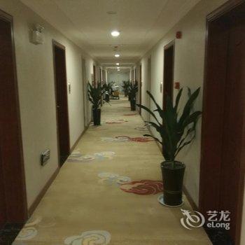临泉新城国际酒店酒店提供图片