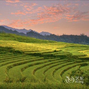 连山雾上花开客栈酒店提供图片