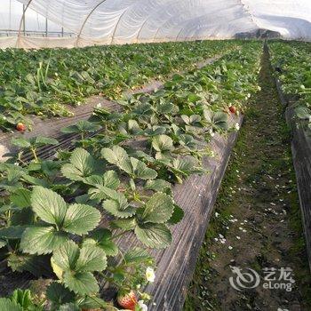 �Ϻ�С����ˮ��Ʒ���޾Ƶ��ṩͼƬ