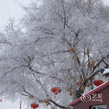 吉林雾凇岛田家客栈酒店提供图片