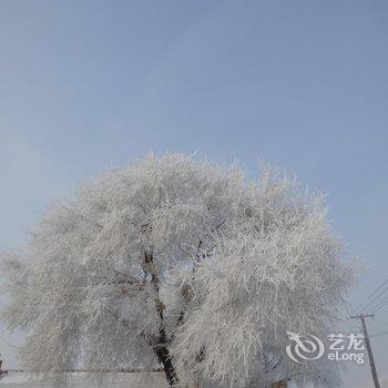 吉林雾凇岛田家客栈酒店提供图片