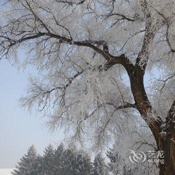 吉林雾凇岛田家客栈酒店提供图片