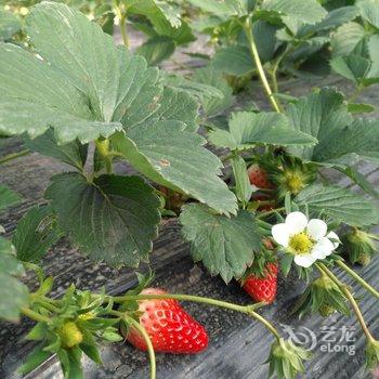 �Ϻ�С����ˮ��Ʒ���޾Ƶ��ṩͼƬ