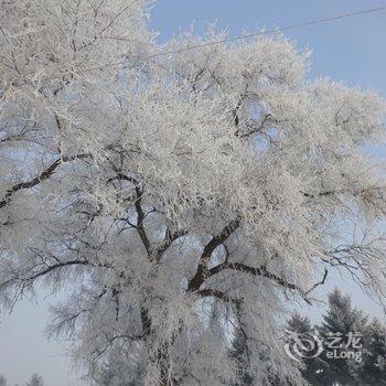 吉林雾凇岛田家客栈酒店提供图片