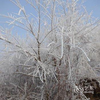 吉林雾凇岛田家客栈酒店提供图片