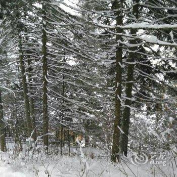 雪乡宋成国家庭旅馆酒店提供图片