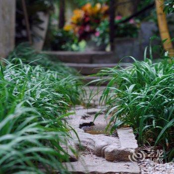 厦门杨雪的花草生活民宿酒店提供图片