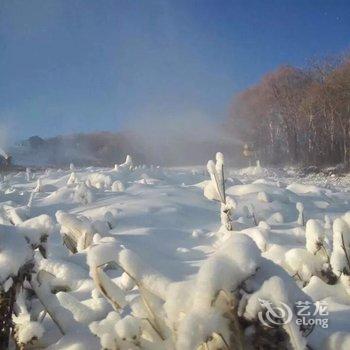 吉林松花湖万科雪诺滑雪公寓酒店提供图片