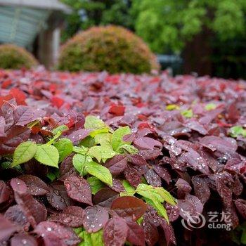 上海青浦宾馆酒店提供图片