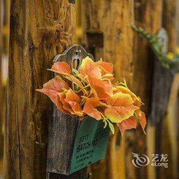 张家界虫二客栈酒店提供图片