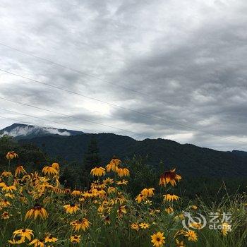 眉山峨眉半山七里坪依水小筑普通公寓酒店提供图片