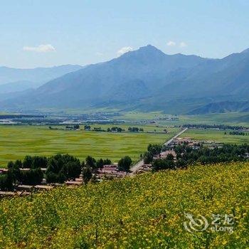 海北油菜花农家乐酒店提供图片