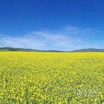 海北油菜花农家乐酒店提供图片