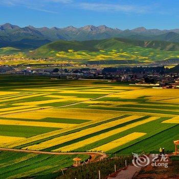 海北油菜花农家乐酒店提供图片