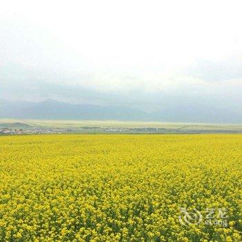 海北油菜花农家乐酒店提供图片