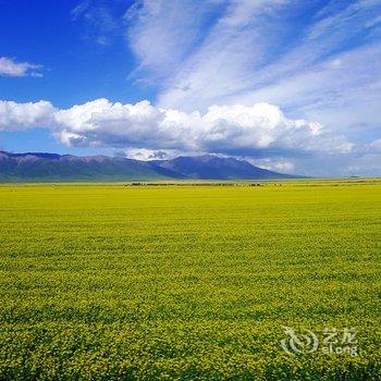 海北油菜花农家乐酒店提供图片