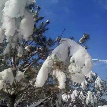 雪乡二浪河雅艺宾馆酒店提供图片