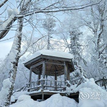 雪乡二浪河雅艺宾馆酒店提供图片